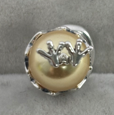 AAA GRADE S925 ALE Sterling Silver 925 Dangle Charms